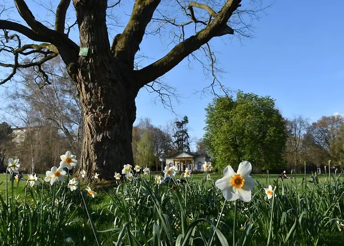 Stadt-appartement Work & Travel * 比勒费尔德